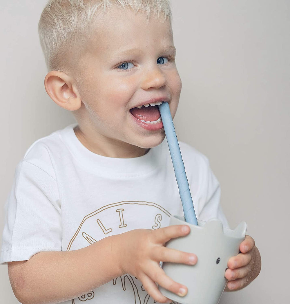 Blue Mix JBØRN Silicone Straws (Straight) x6 with Cleaning Brush & Pouch by Just Børn sold by JBørn Baby Products Shop